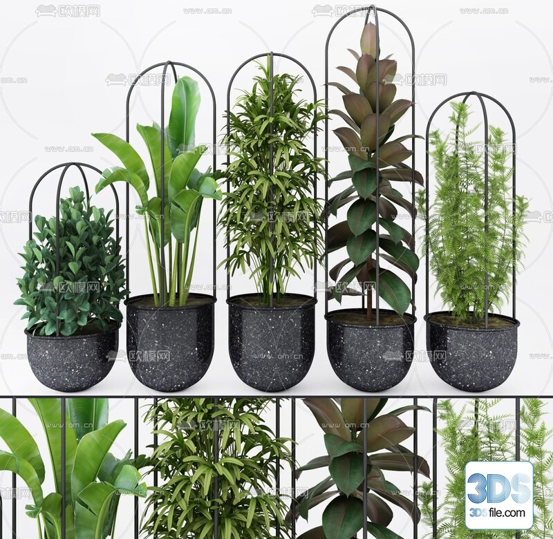 PLANT 3D MODELS - 06. Vray - 3ds Max