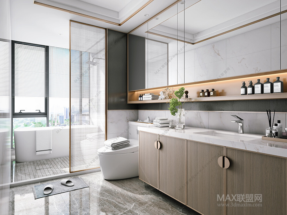 15 Bath Room 3d Models Vol09. Vray - 3ds Max