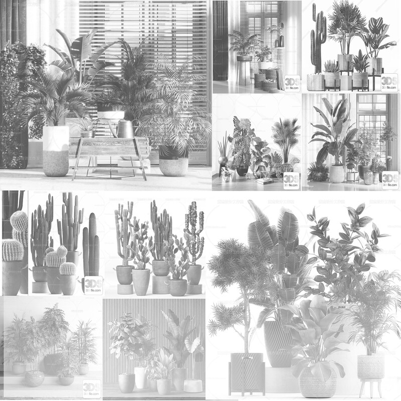 PLANTS &amp; FLOWERS