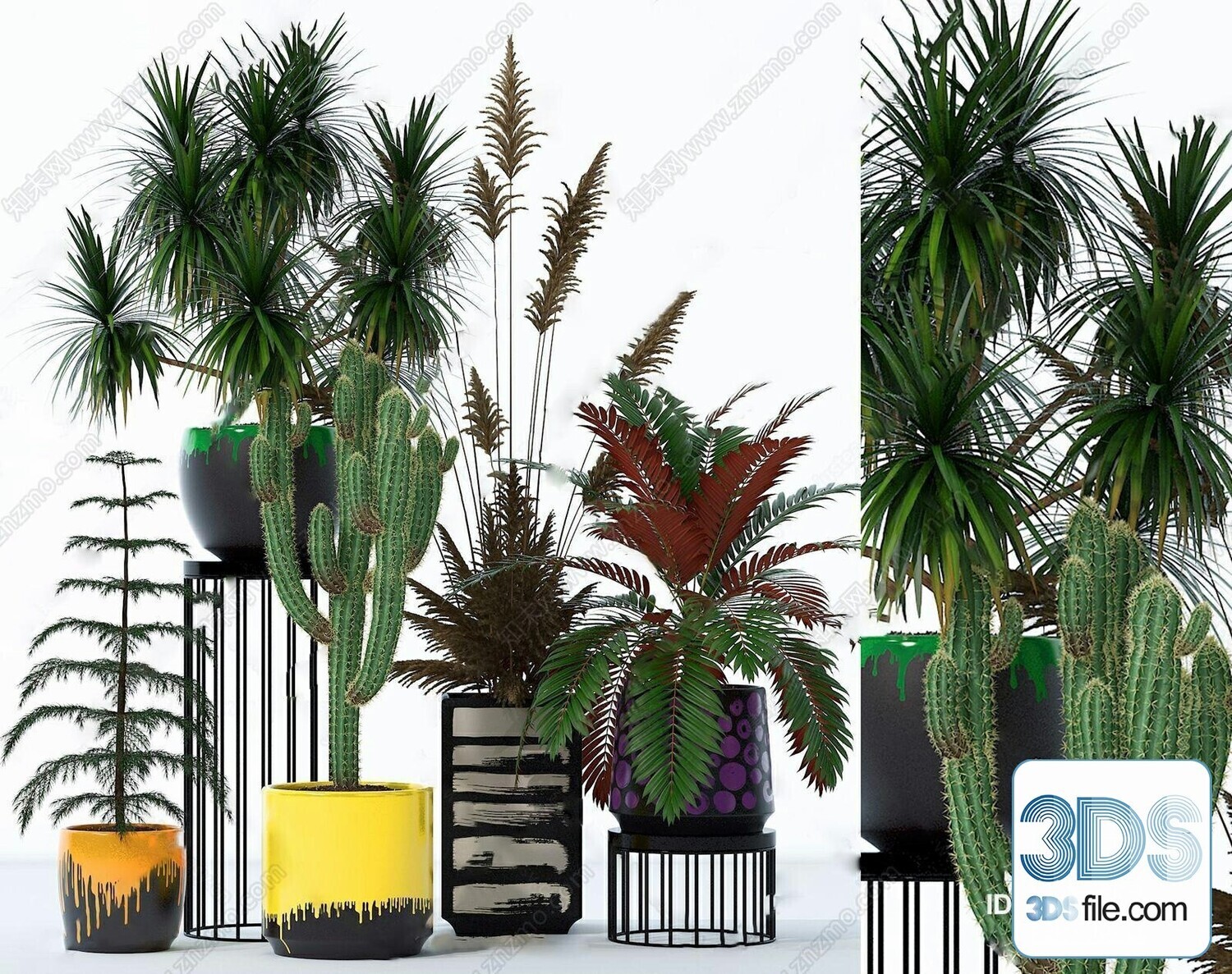 14 Cactus 3d Models For Download-Vray
