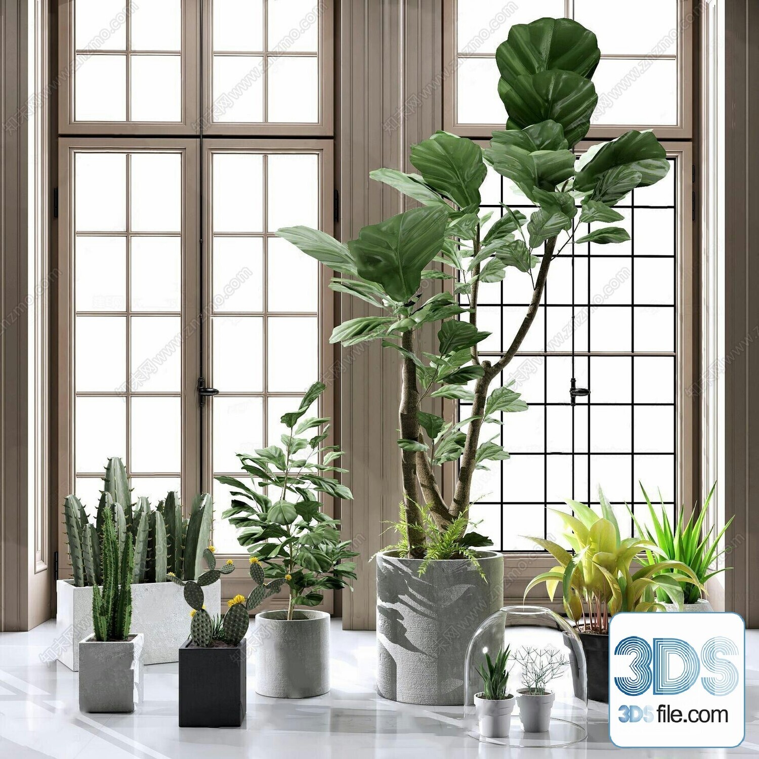 14 Cactus 3d Models For Download-Vray