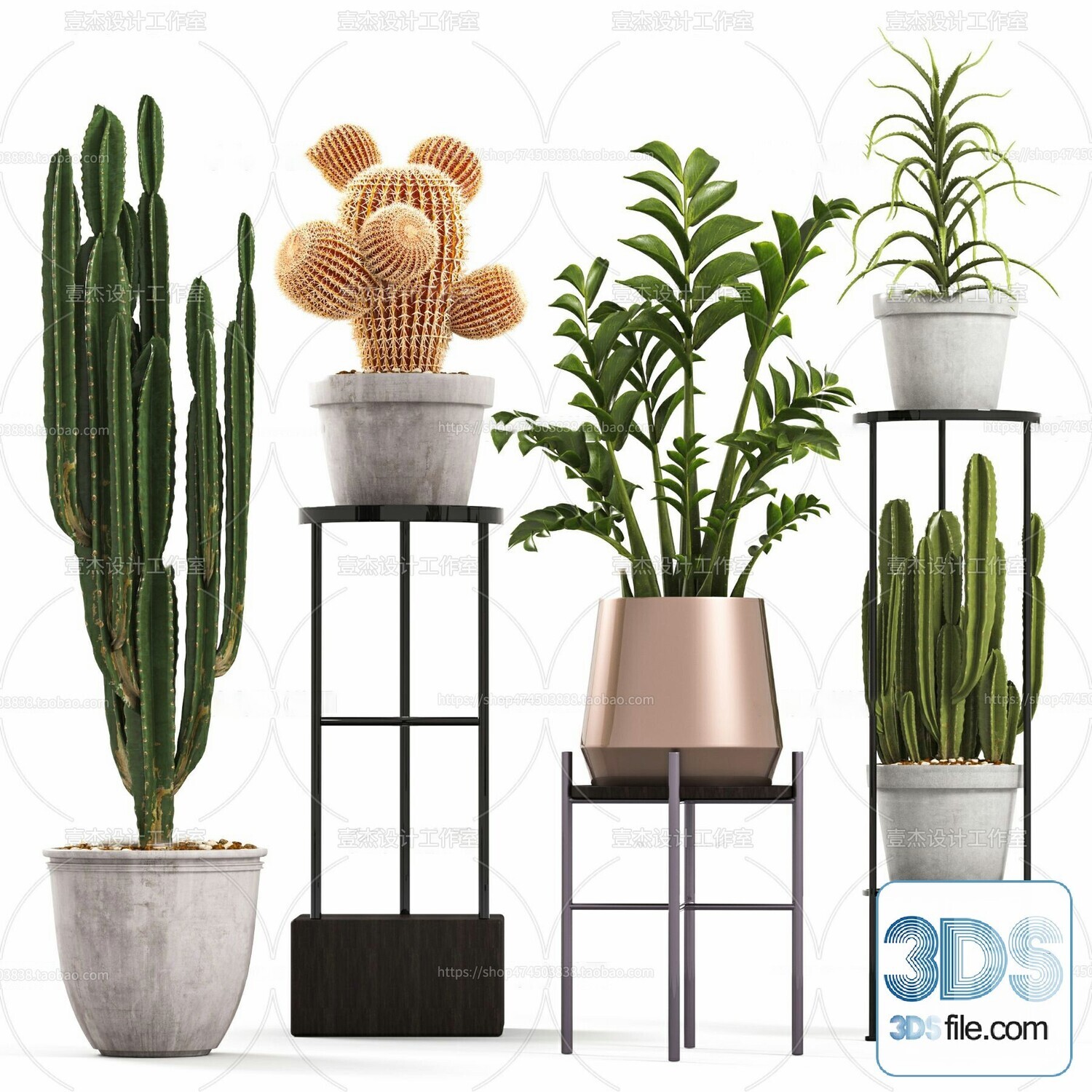 14 Cactus 3d Models For Download-Vray