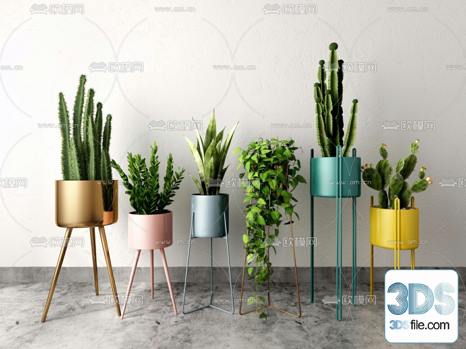 14 Cactus 3d Models For Download-Vray