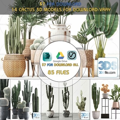 14 Cactus 3d Models For Download-Vray