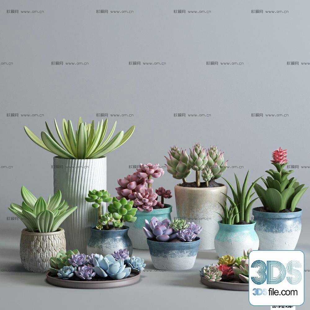 14 Cactus 3d Models For Download-Vray