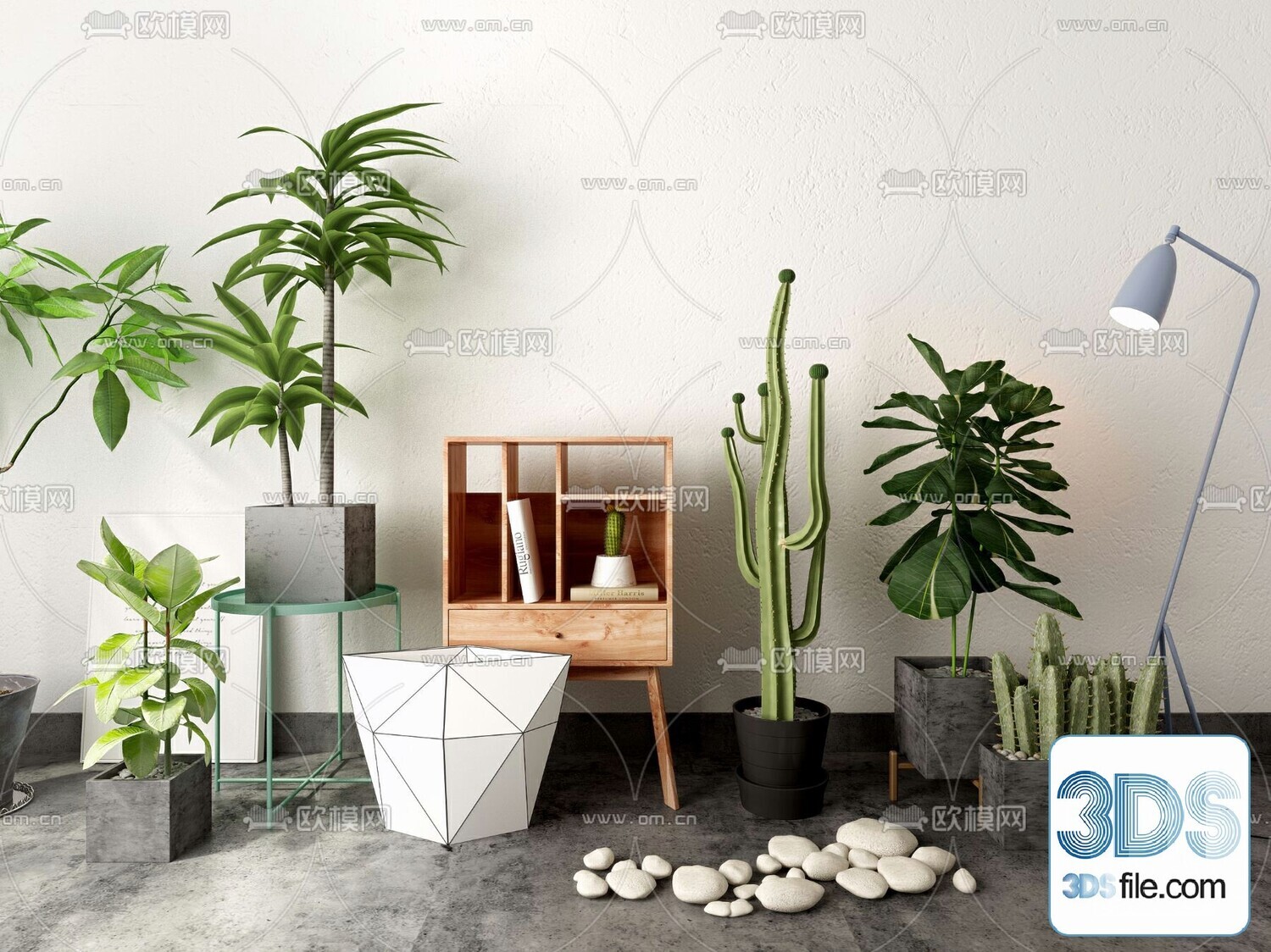 14 Cactus 3d Models For Download-Vray