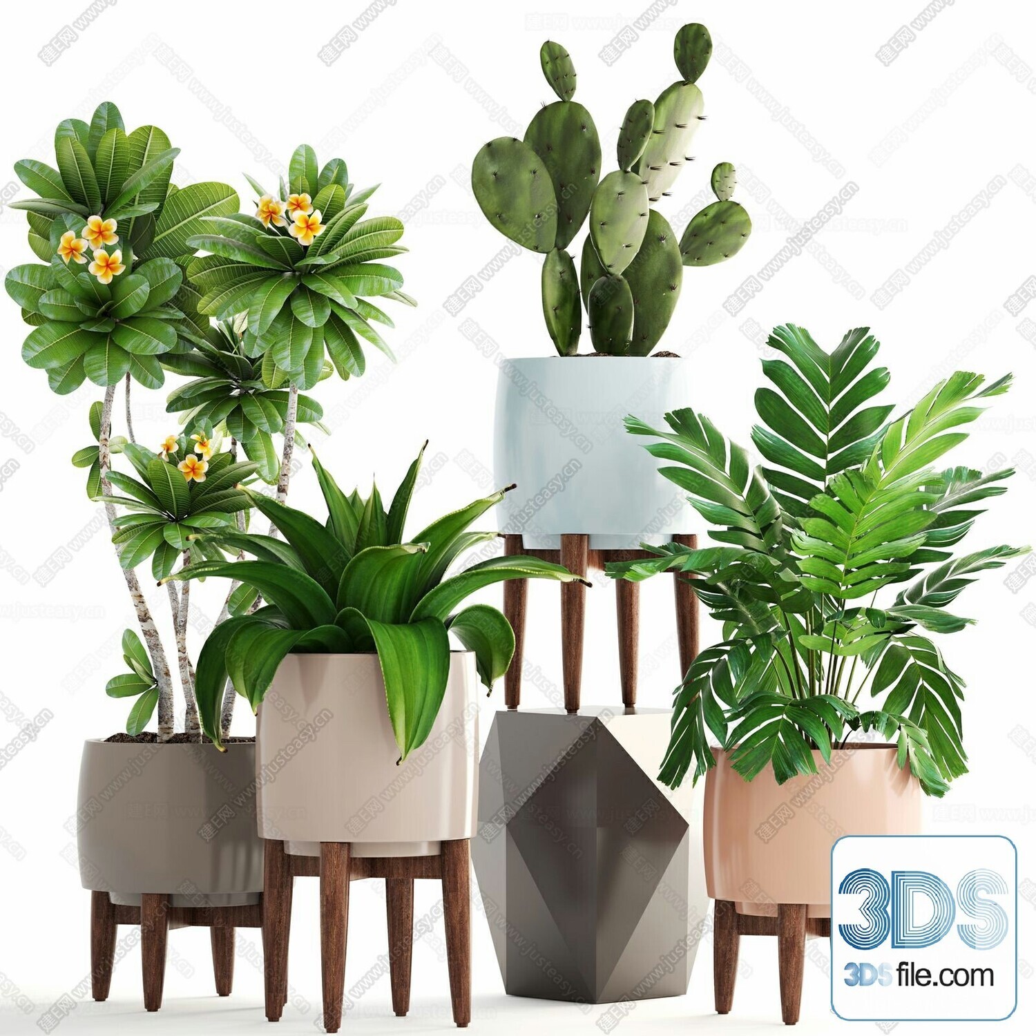 14 Cactus 3d Models For Download-Vray