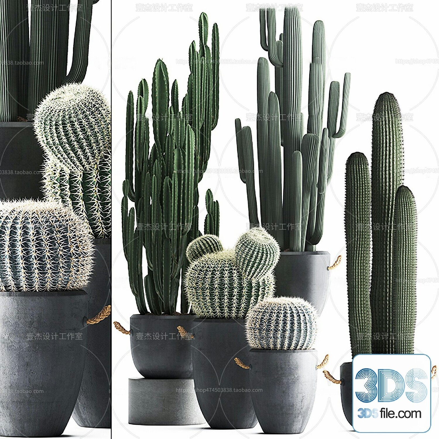 14 Cactus 3d Models For Download-Vray