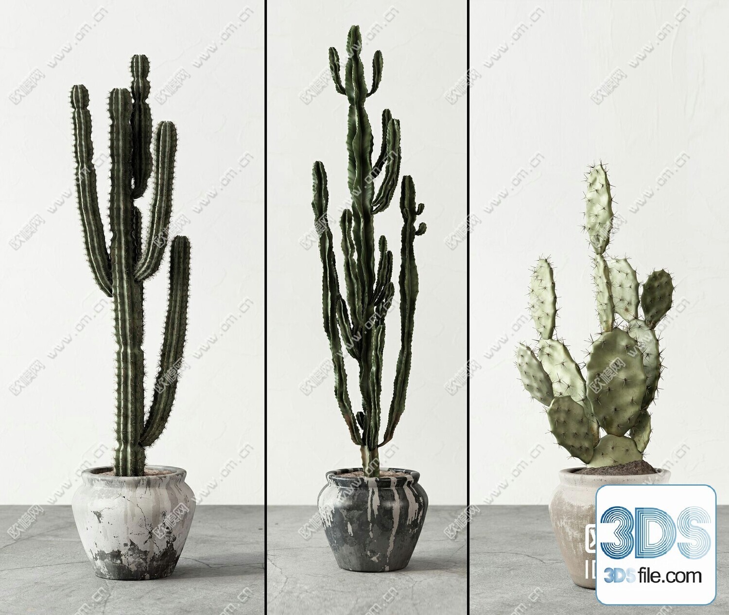 14 Cactus 3d Models For Download-Vray