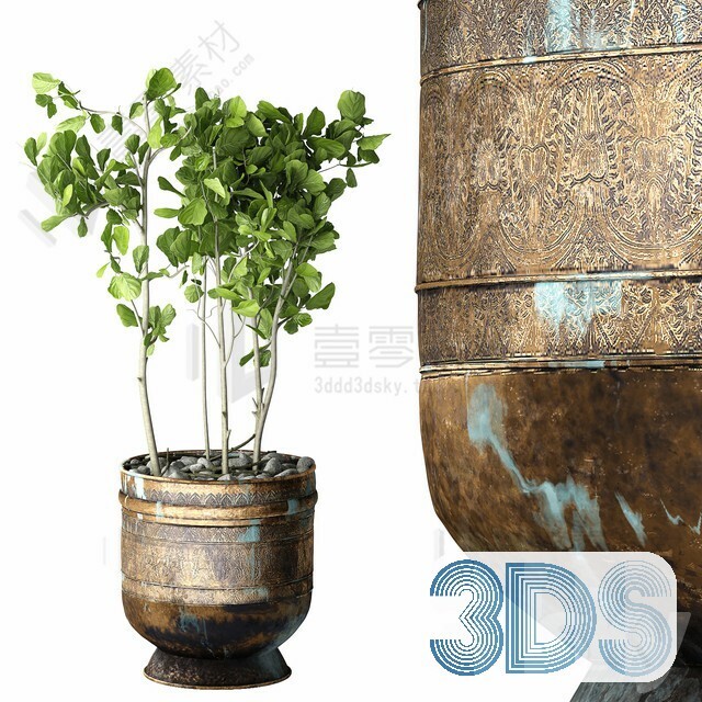 83 Plant 3d Models Pro Vol.04