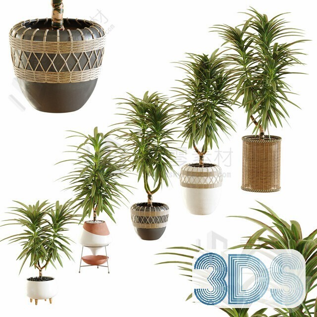 83 Plant 3d Models Pro Vol.04