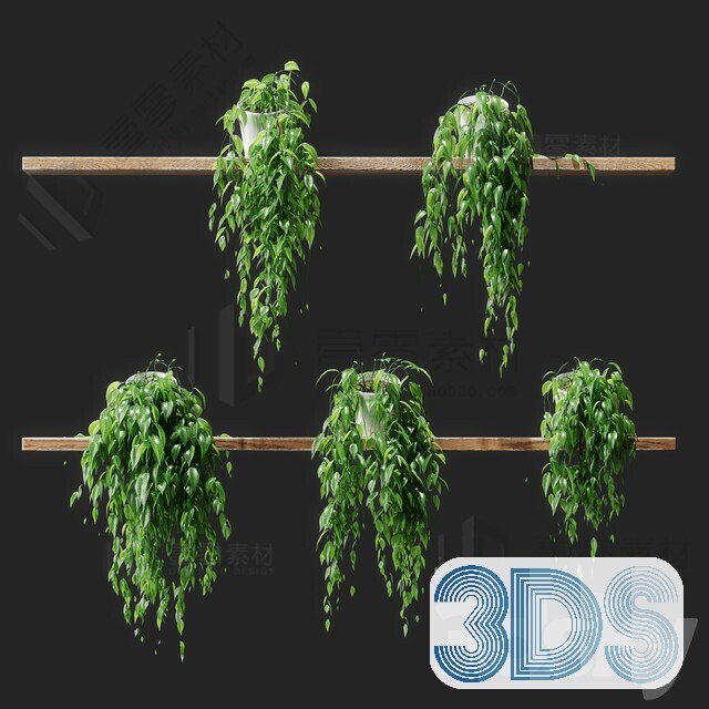 83 Plant 3d Models Pro Vol.04