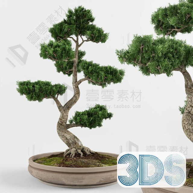 83 Plant 3d Models Pro Vol.04
