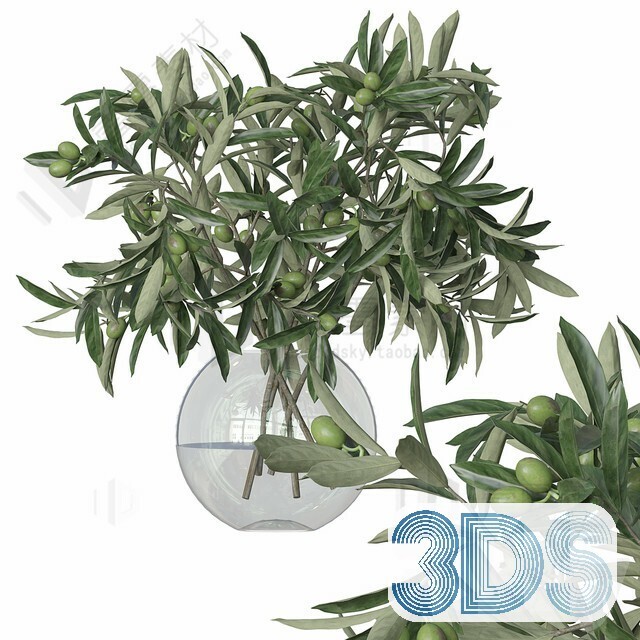 83 Plant 3d Models Pro Vol.04