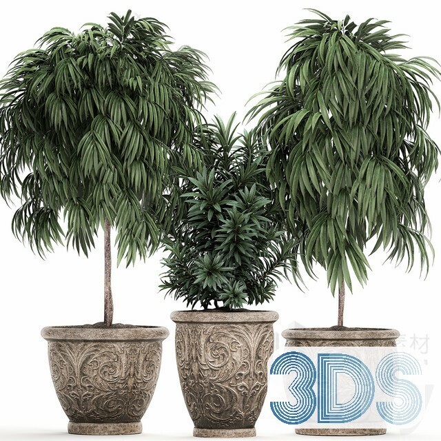 83 Plant 3d Models Pro Vol.04