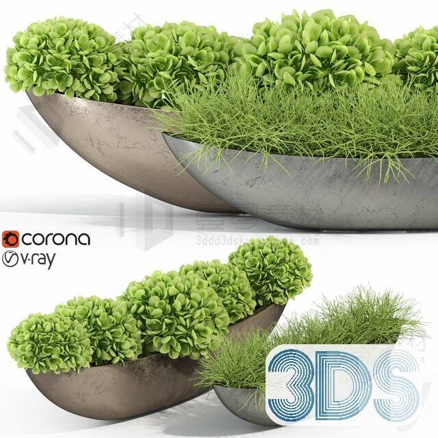 83 Plant 3d Models Pro Vol.04