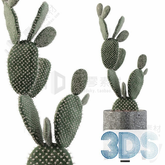 83 Plant 3d Models Pro Vol.04