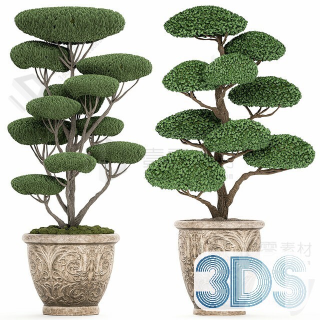 83 Plant 3d Models Pro Vol.04