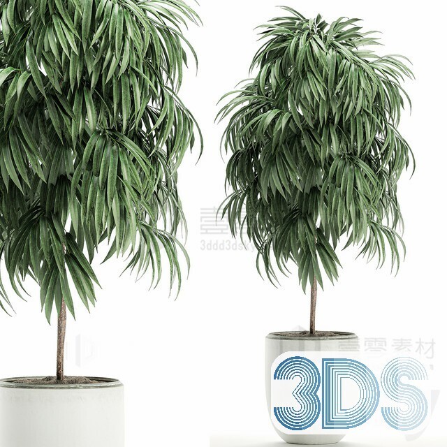 83 Plant 3d Models Pro Vol.04