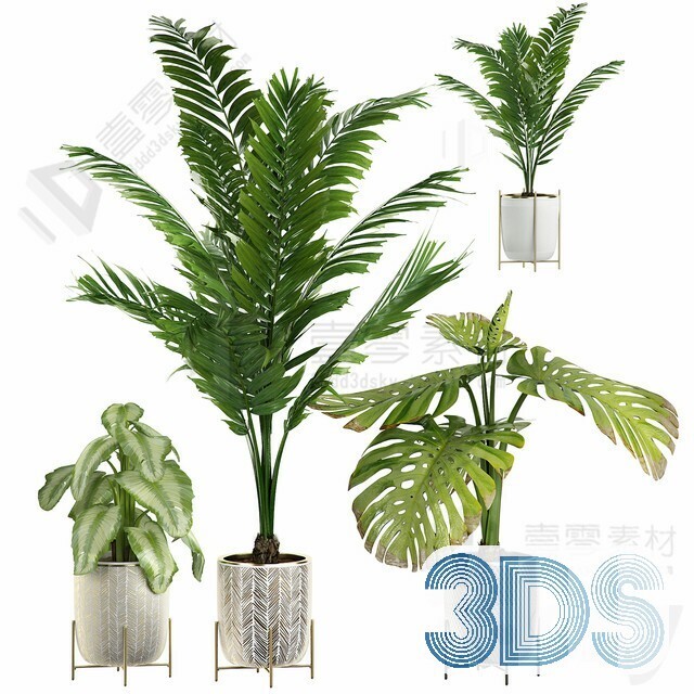 83 Plant 3d Models Pro Vol.04