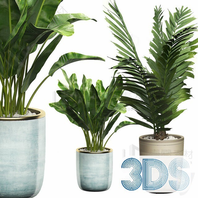 83 Plant 3d Models Pro Vol.04