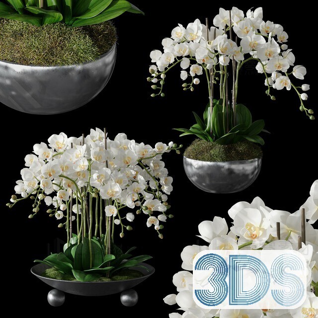 83 Plant 3d Models Pro Vol.04