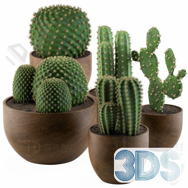 83 Plant 3d Models Pro Vol.04