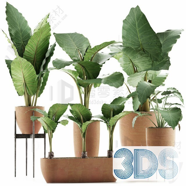 83 Plant 3d Models Pro Vol.04