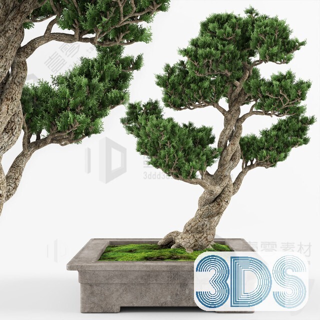 83 Plant 3d Models Pro Vol.04