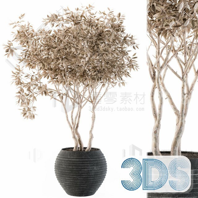 83 Plant 3d Models Pro Vol.04