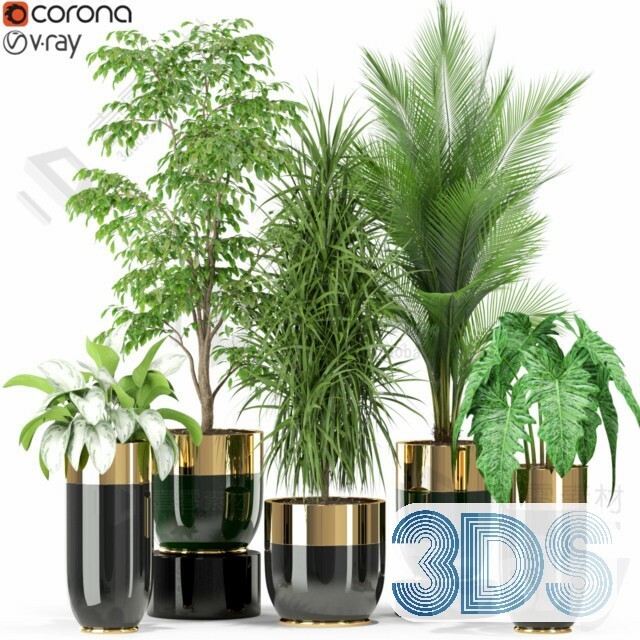 83 Plant 3d Models Pro Vol.04