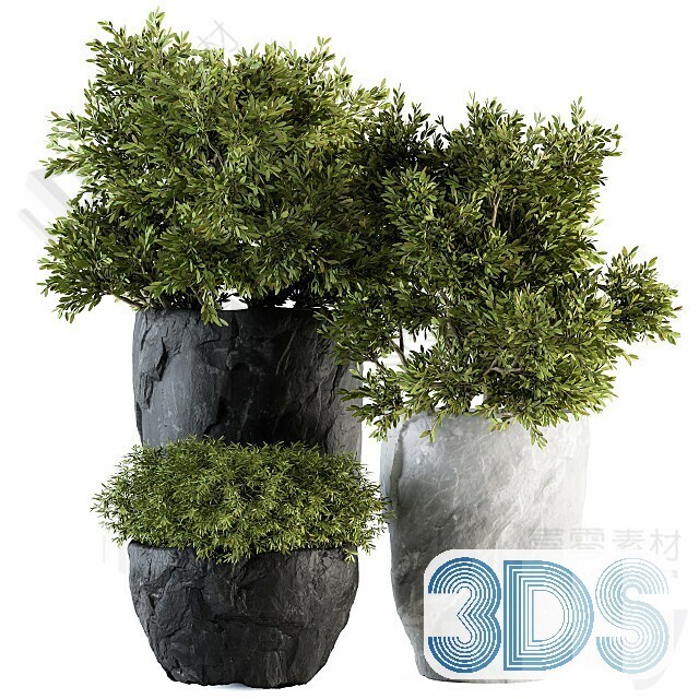 83 Plant 3d Models Pro Vol.04
