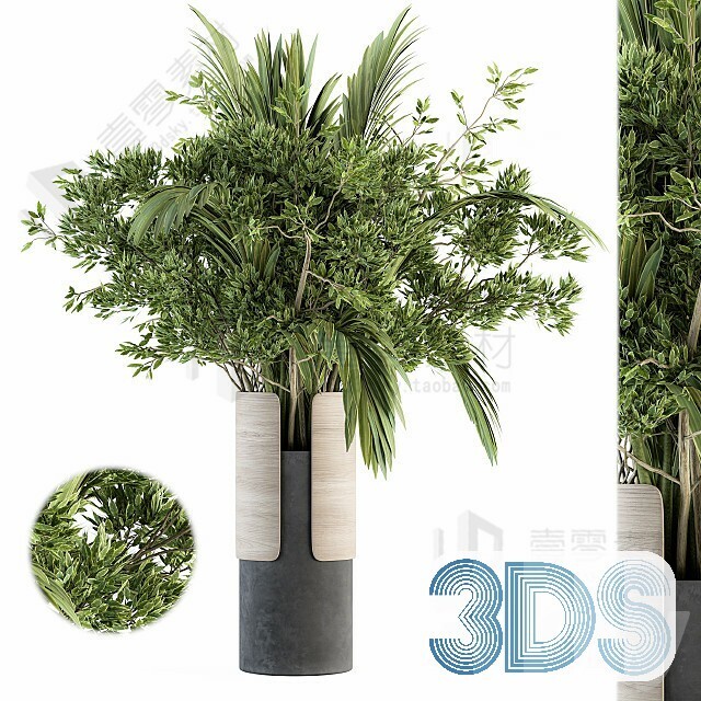 83 Plant 3d Models Pro Vol.04