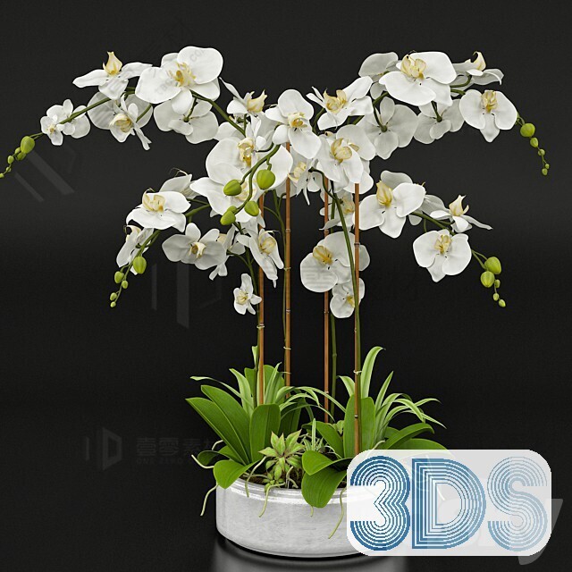 83 Plant 3d Models Pro Vol.04