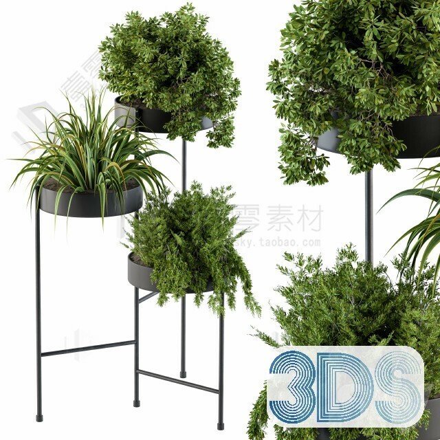 83 Plant 3d Models Pro Vol.04