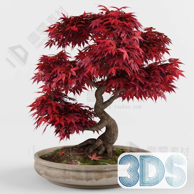 83 Plant 3d Models Pro Vol.04