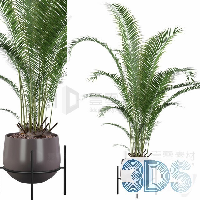 83 Plant 3d Models Pro Vol.04