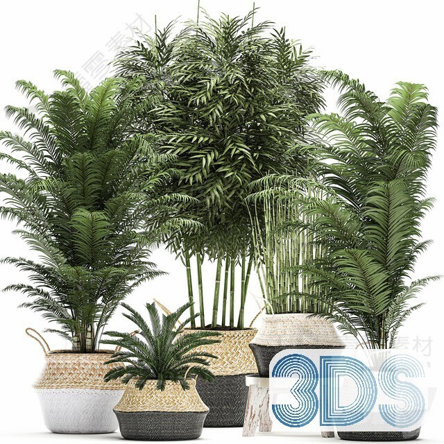 83 Plant 3d Models Pro Vol.04