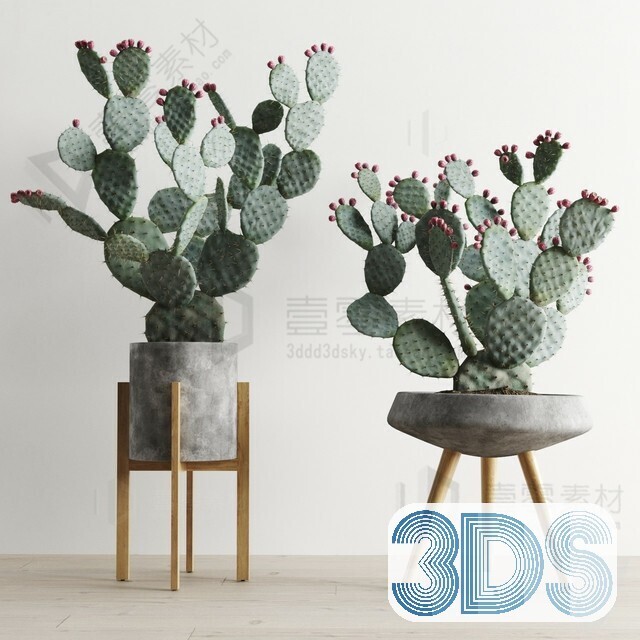 83 Plant 3d Models Pro Vol.04