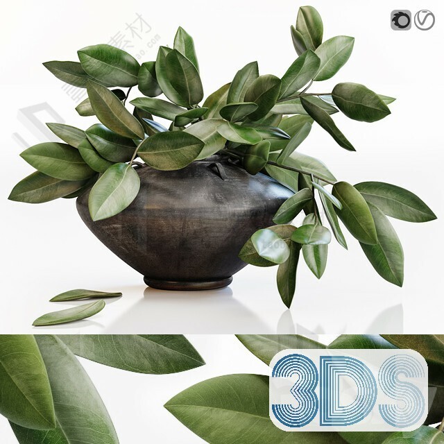 83 Plant 3d Models Pro Vol.04