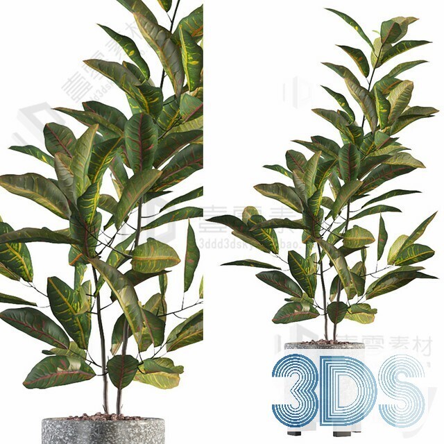 83 Plant 3d Models Pro Vol.04
