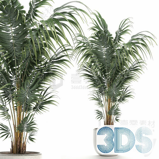 83 Plant 3d Models Pro Vol.04
