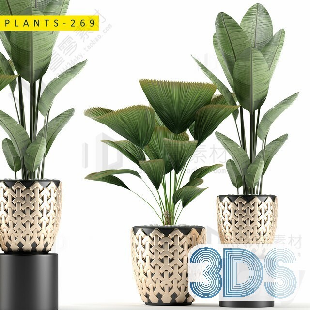 83 Plant 3d Models Pro Vol.04