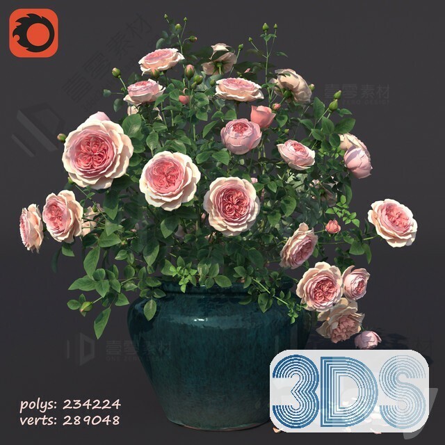 83 Plant 3d Models Pro Vol.04