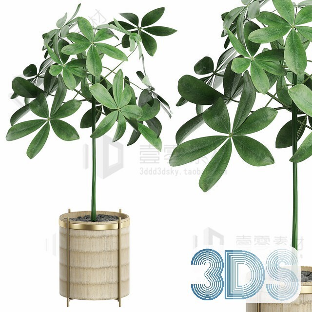83 Plant 3d Models Pro Vol.04