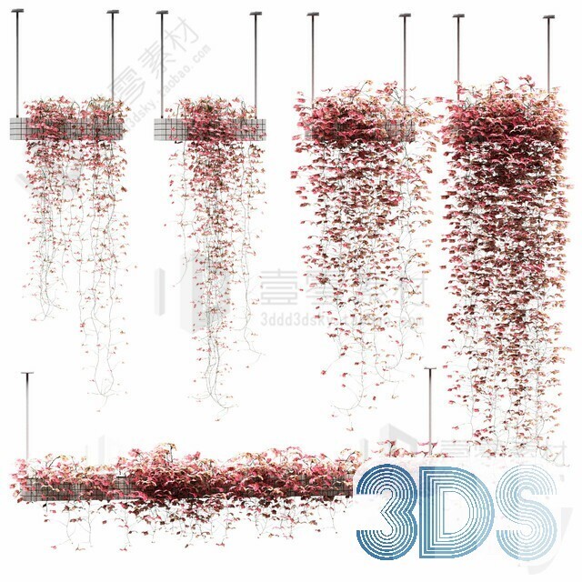 83 Plant 3d Models Pro Vol.04