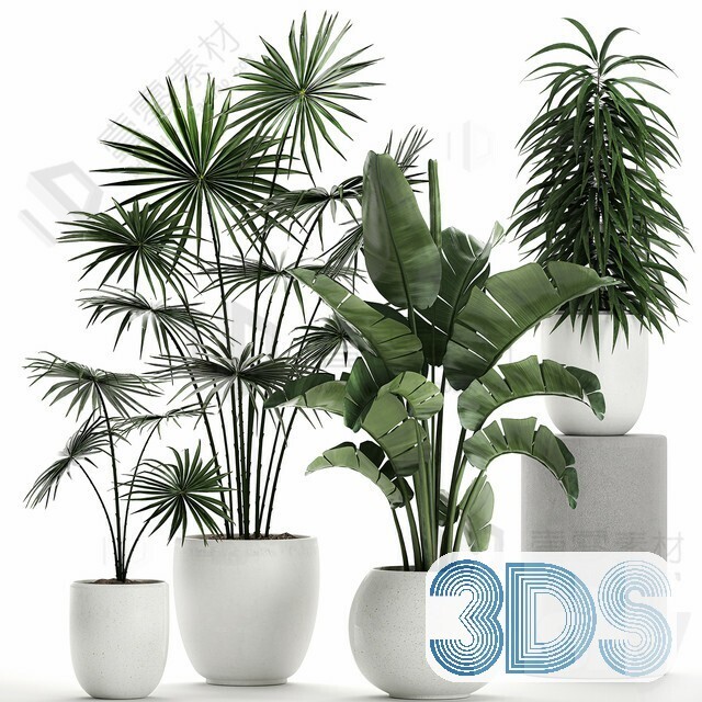 83 Plant 3d Models Pro Vol.04