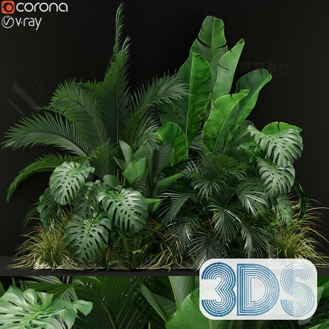 83 Plant 3d Models Pro Vol.04