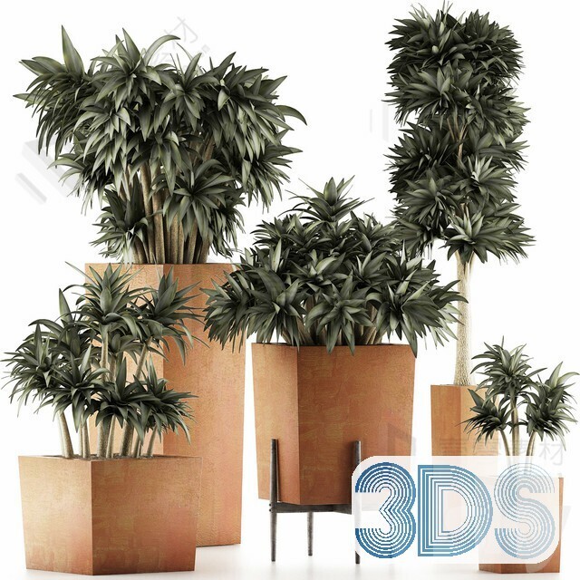 83 Plant 3d Models Pro Vol.04