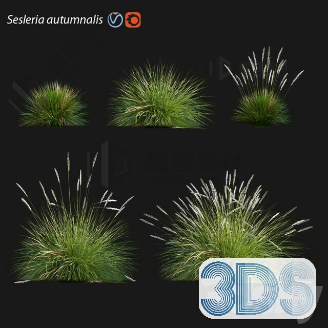 83 Plant 3d Models Pro Vol.04